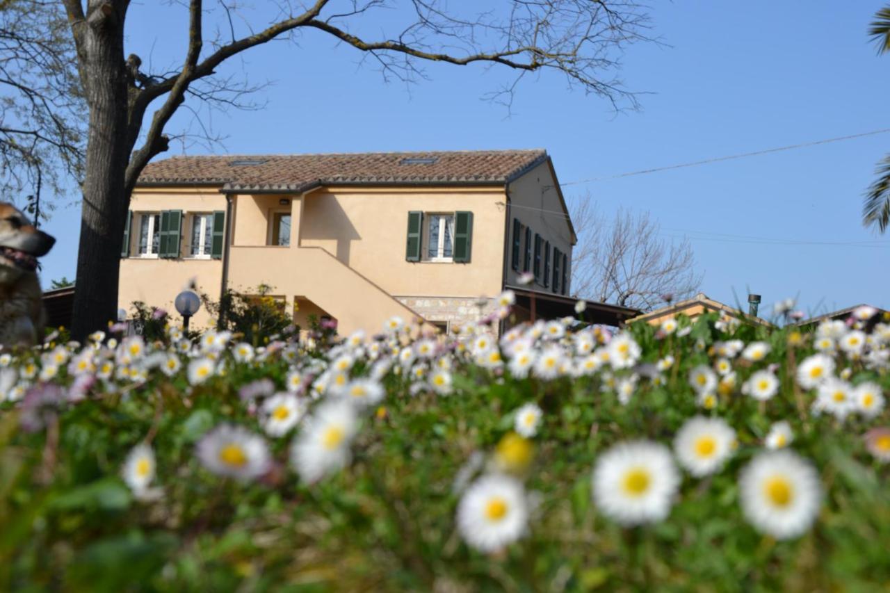 Il Mandorlo - E Azienda Agricola Ferrato